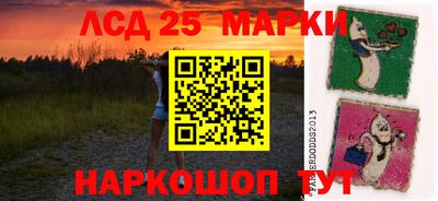 индика Обь