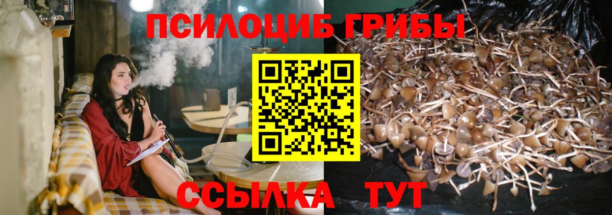 Псилоцибиновые грибы GOLDEN TEACHER Сыктывкар